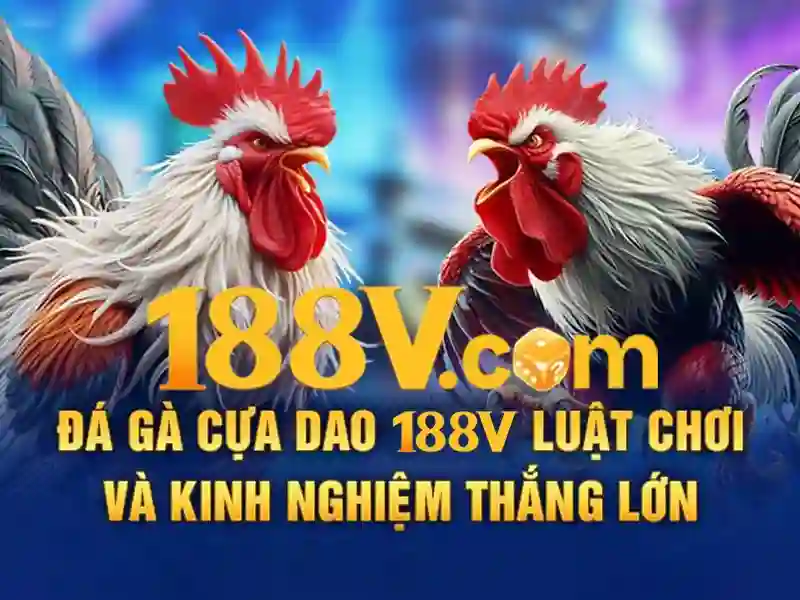Khởi đầu của 188v\n