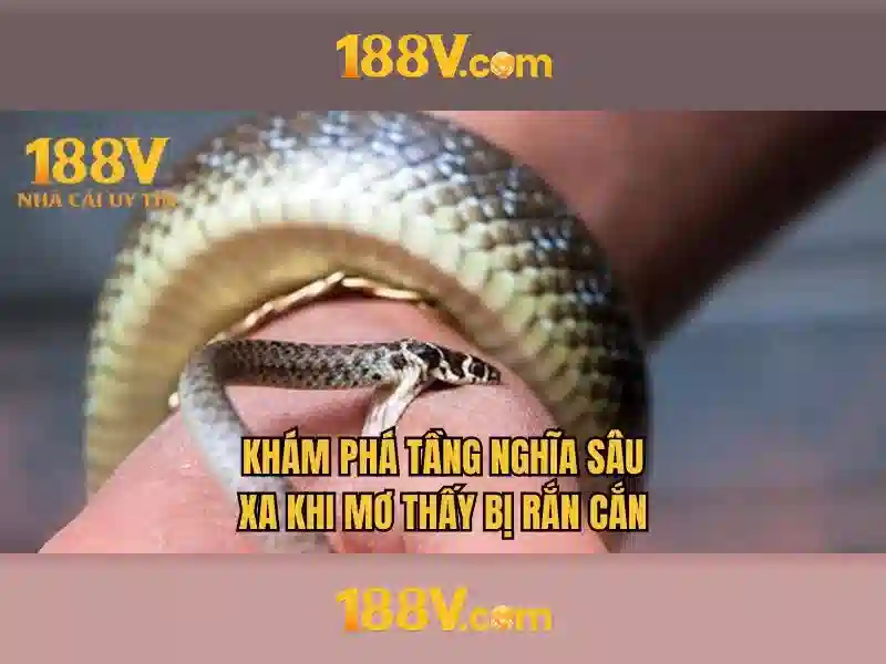 188v: khái niệm và hành trình khám phá