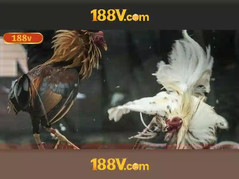 188V: Khái niệm và ứng dụng trong công nghệ hiện đại