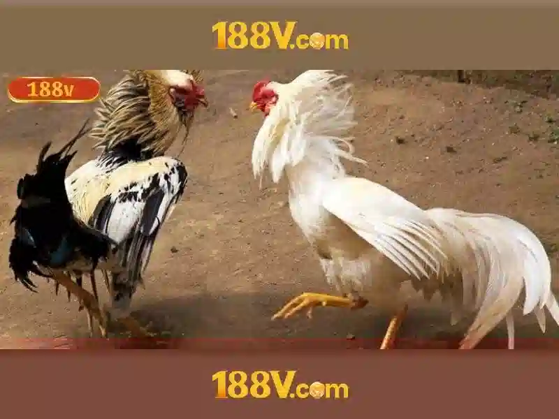 188v: mot con so va cau chuyen\n\n
