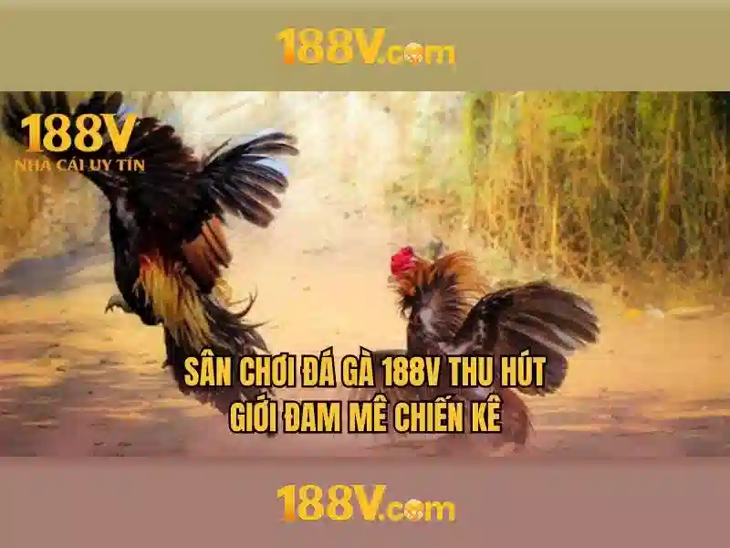 Khám phá 188V: một khía cạnh của điện áp và thực tại