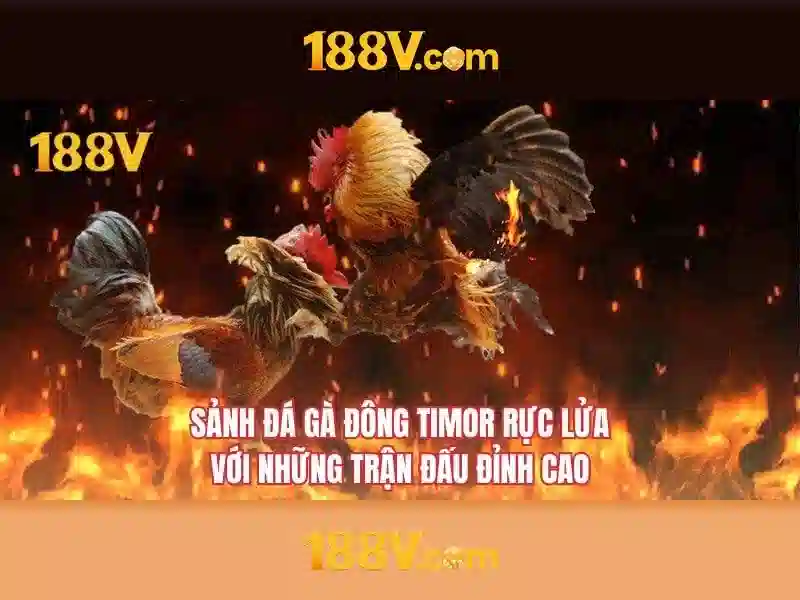 Cac san pham va dich vu cua 188v. com
