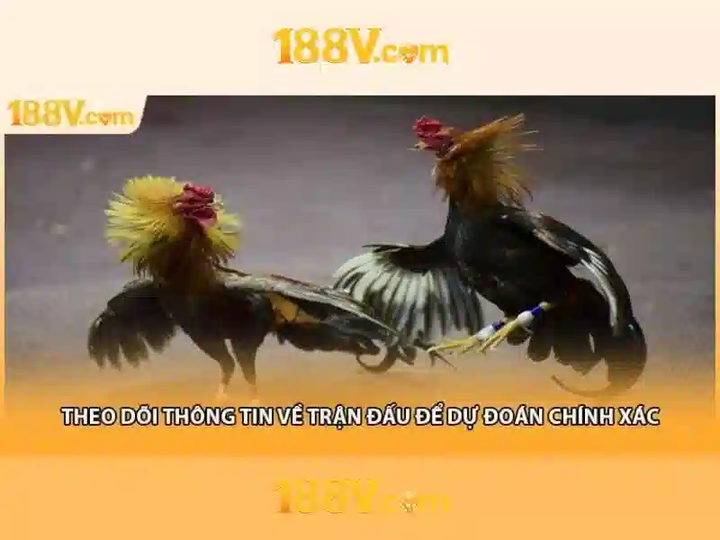 Trải nghiệm người dùng và phản hồi cộng đồng