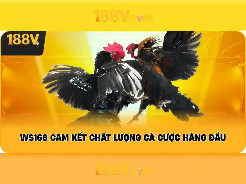 Sản phẩm và dịch vụ cốt lõi của 188v..com