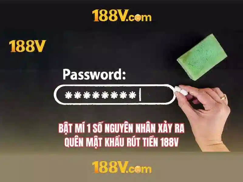 Người dùng và trải nghiệm
