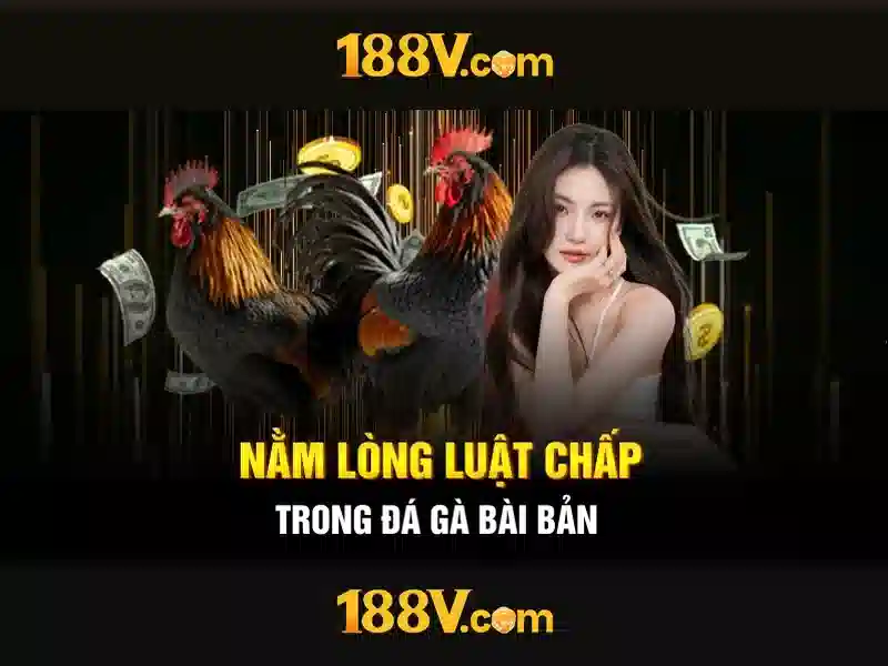 Khám phá 188v: một khái niệm và trải nghiệm thị giác