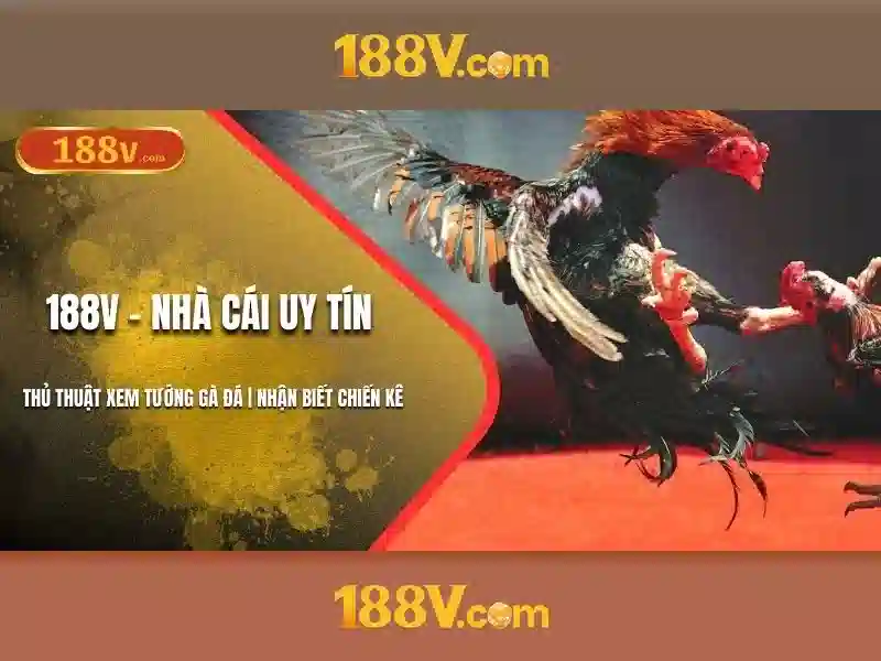 188v: ký hiệu của một thành phố ảo