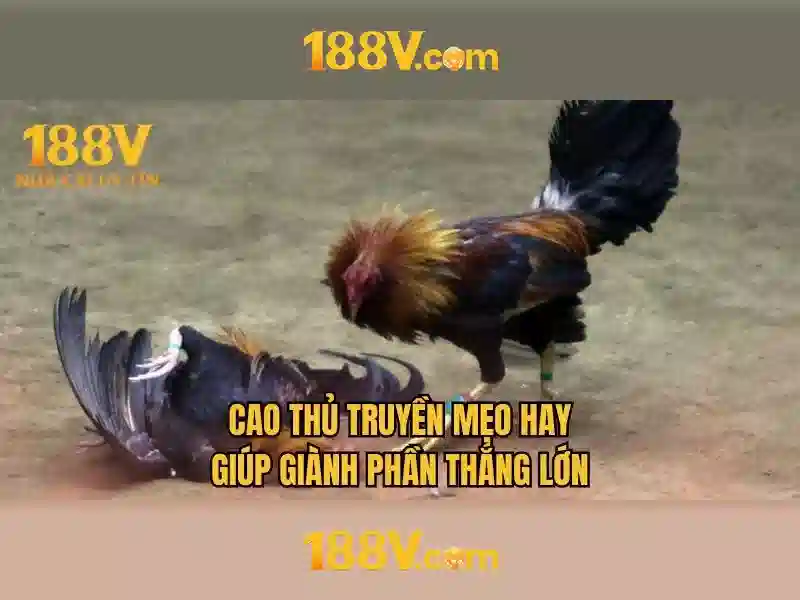 188v là gì?