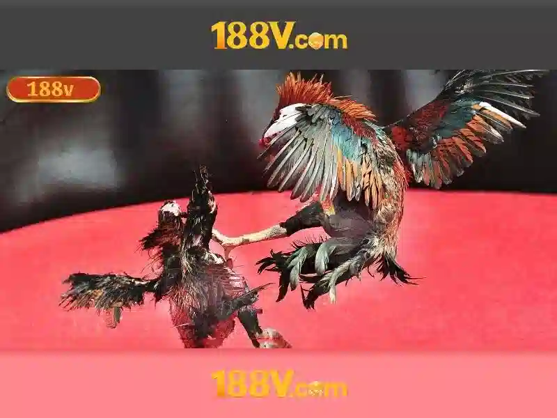 188v: một thế giới bí ẩn