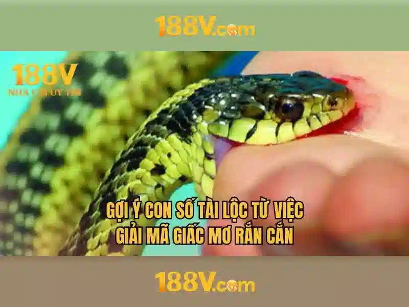 Lược sử và ý nghĩa của 188V\n