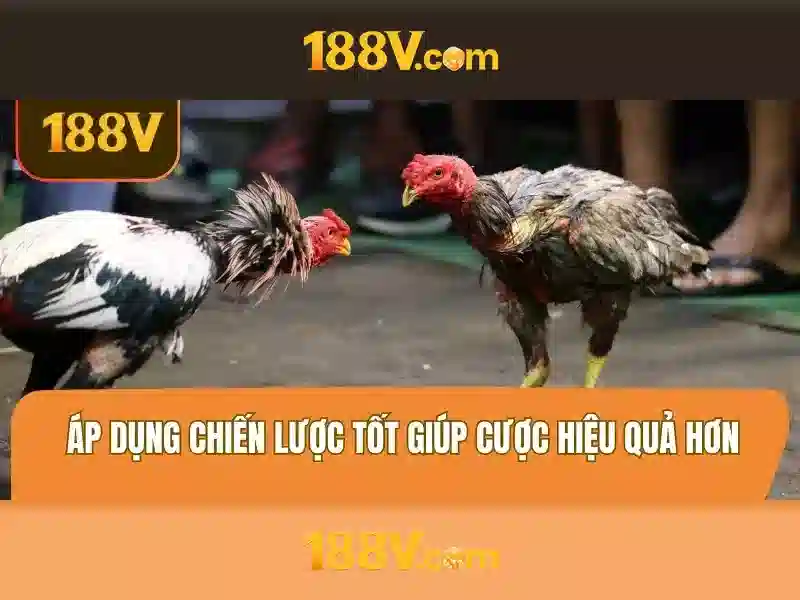 Lợi ích và thách thức khi triển khai 188v