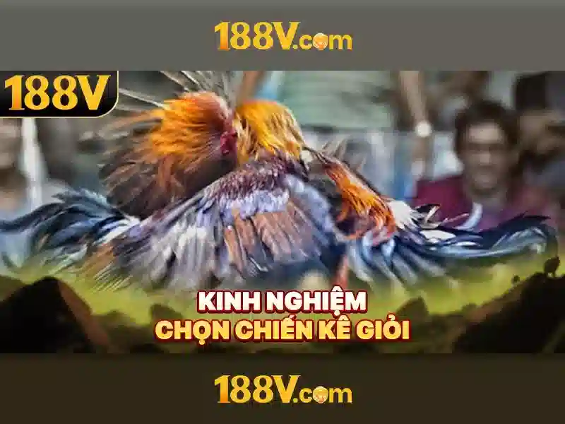 Khám phá 188v: khái niệm công nghệ đột phá