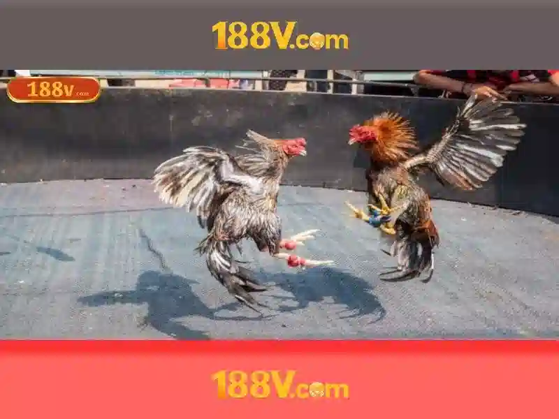 188v và hành trình của một khái niệm