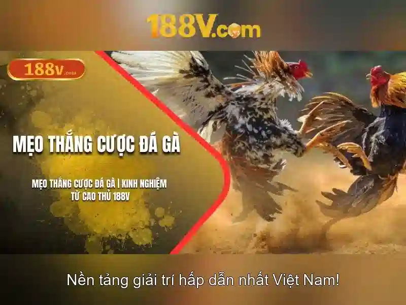 Giới thiệu về 188V\n