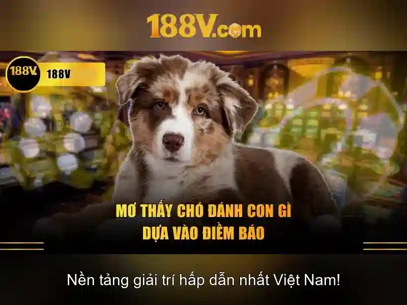 Sản phẩm và dịch vụ chính: Ứng dụng 188v app