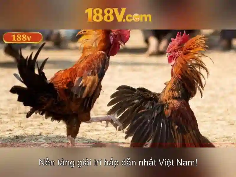 Khám phá 188V: Điện áp và ứng dụng
