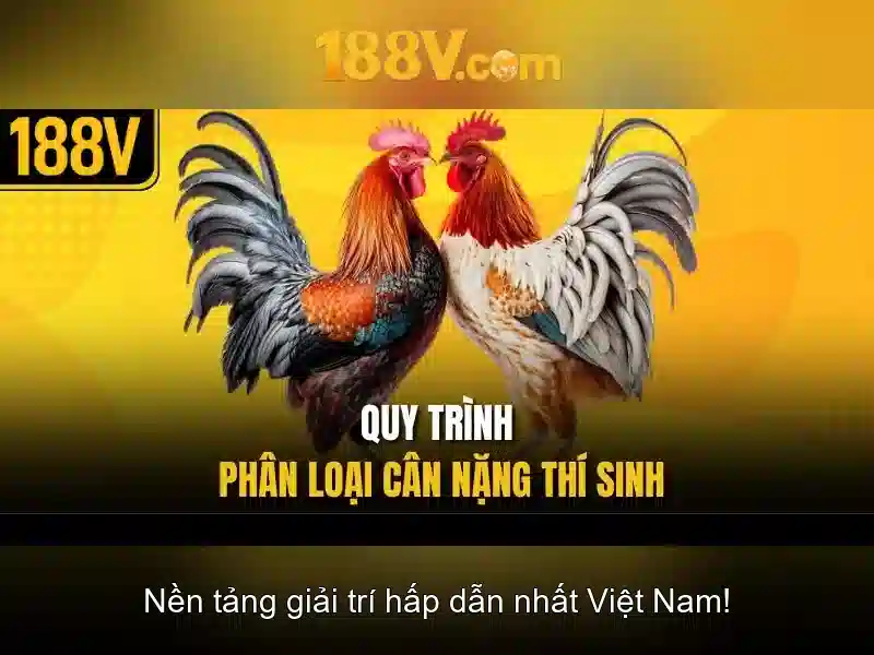 188V: Hiểu về điện áp và ứng dụng