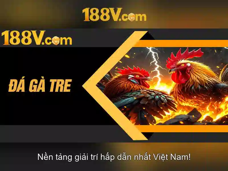 An toàn và bảo trì