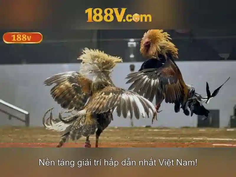 Tương lai của 188V và xu hướng nghiên cứu
