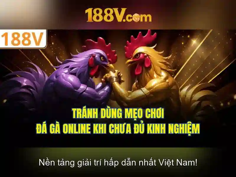 188v: Sự giao thoa giữa công nghệ và con người\n\n