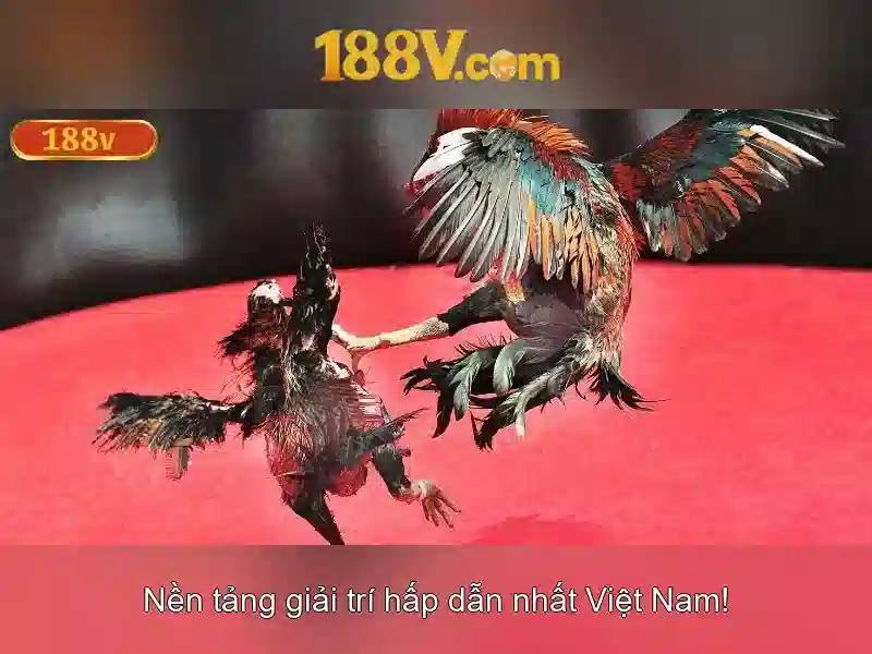 188v: Khái niệm, vai trò và tương lai