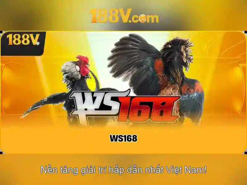 Kết luận về 188v
