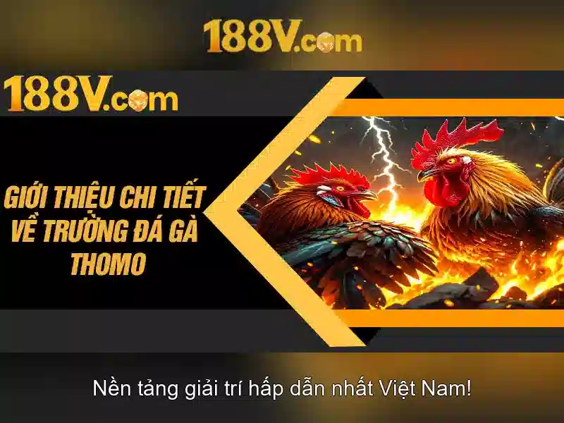 Phân tích kỹ thuật của 188v