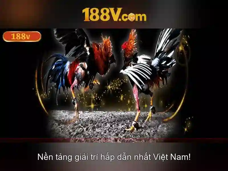 Các sản phẩm và dịch vụ liên quan đến ưu đãi 188v
