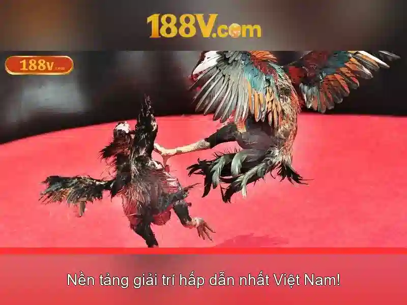 Nguồn gốc và định nghĩa\n\n