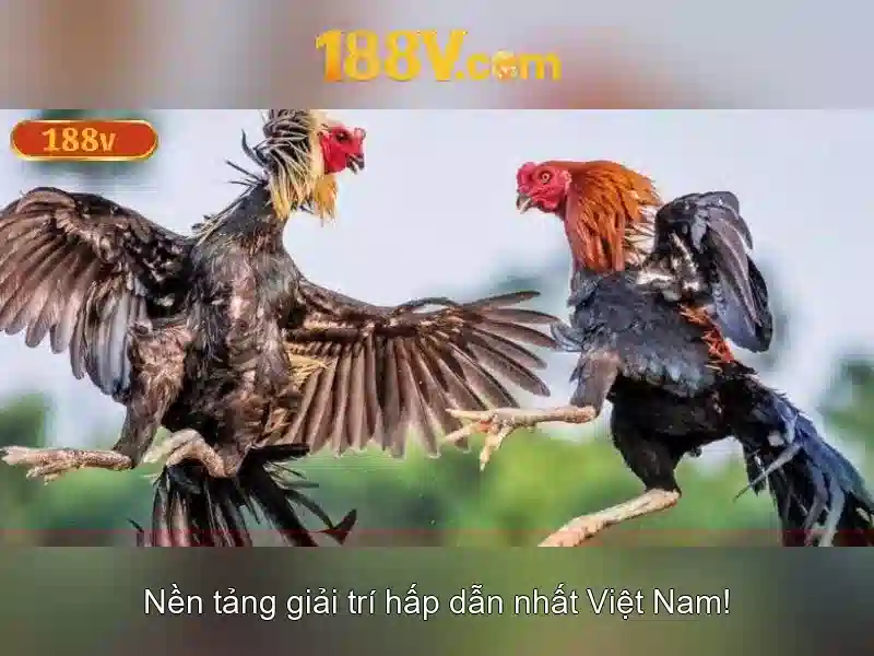 Khái niệm 188 V