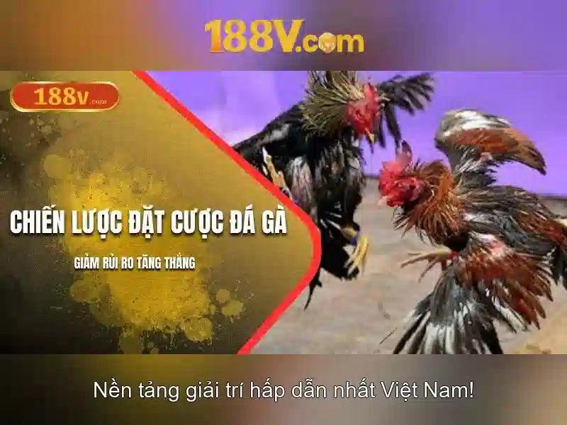 188v và thế giới dữ liệu