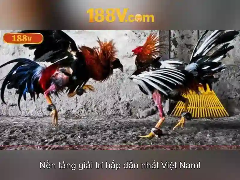 188v: một khái niệm số và nghệ thuật dữ liệu
