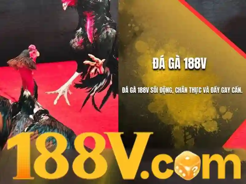 188v nohu – Tổng quan chủ đề và giá trị cốt lõi