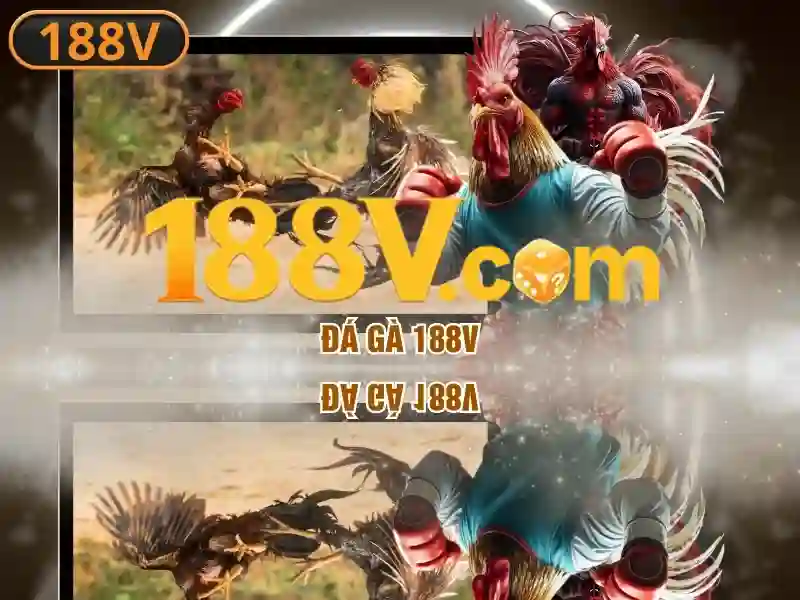 188v nohu – Tổng quan, ứng dụng và trải nghiệm tối ưu