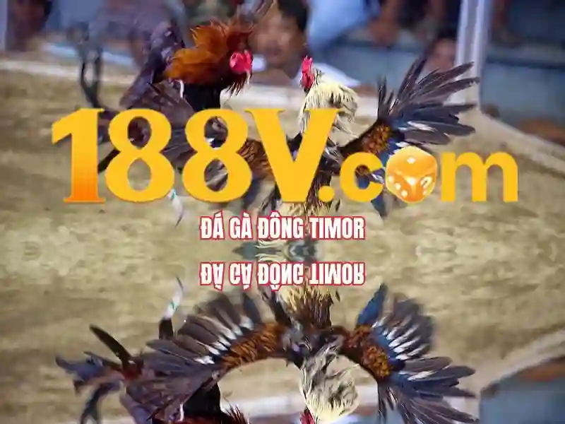 slot 188v: Trải nghiệm đột phá và giải pháp hỗ trợ 188v