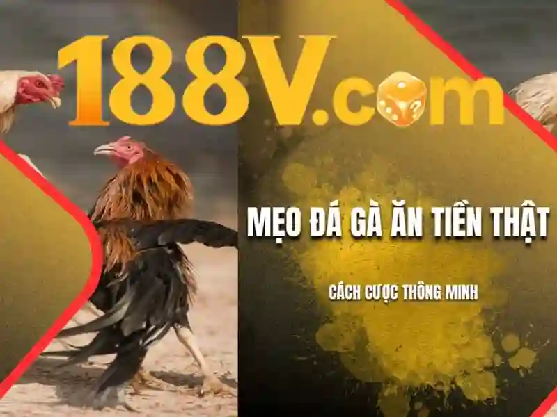 nhà cái 188v – Tổng quan và Giá trị Cốt lõi